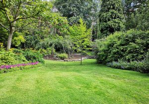 Optimiser l'expérience du jardin à Cartignies